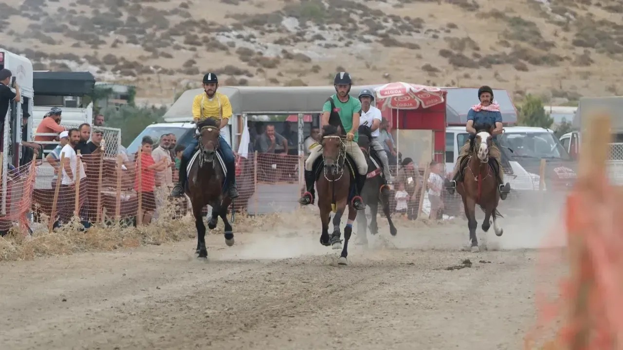 Cb7Aa84E D86C 4C48 Bc5E A45A6A43E757