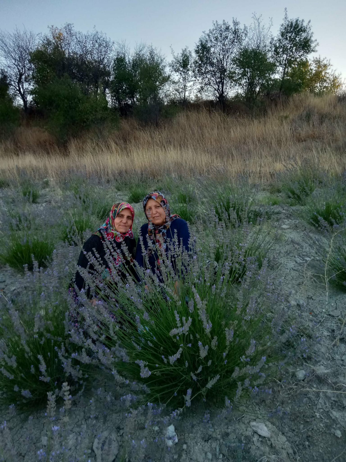 F387E79C A6Ef 4C90 9085 7021F1414F20