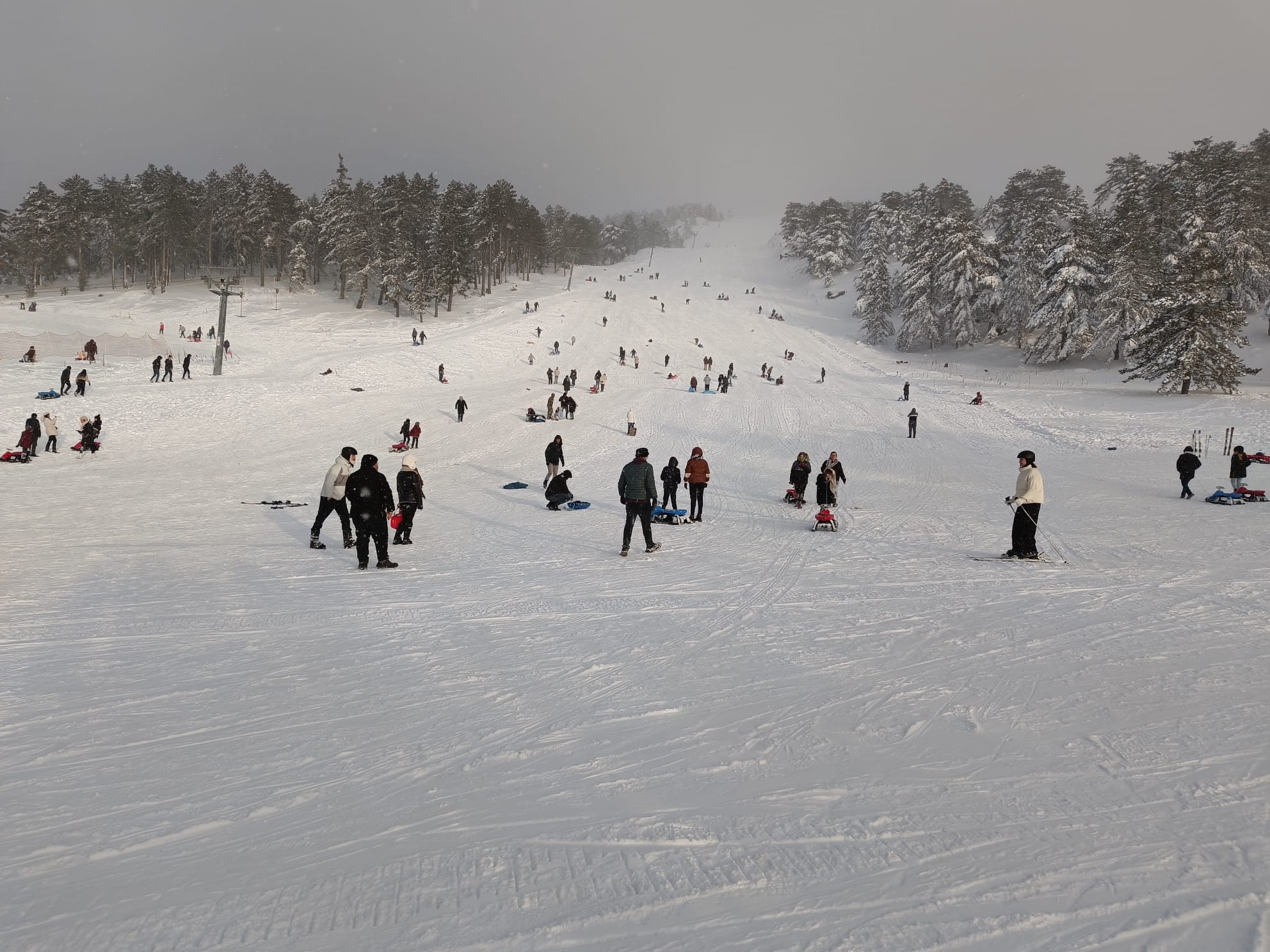 I M G 20260118 W A0033