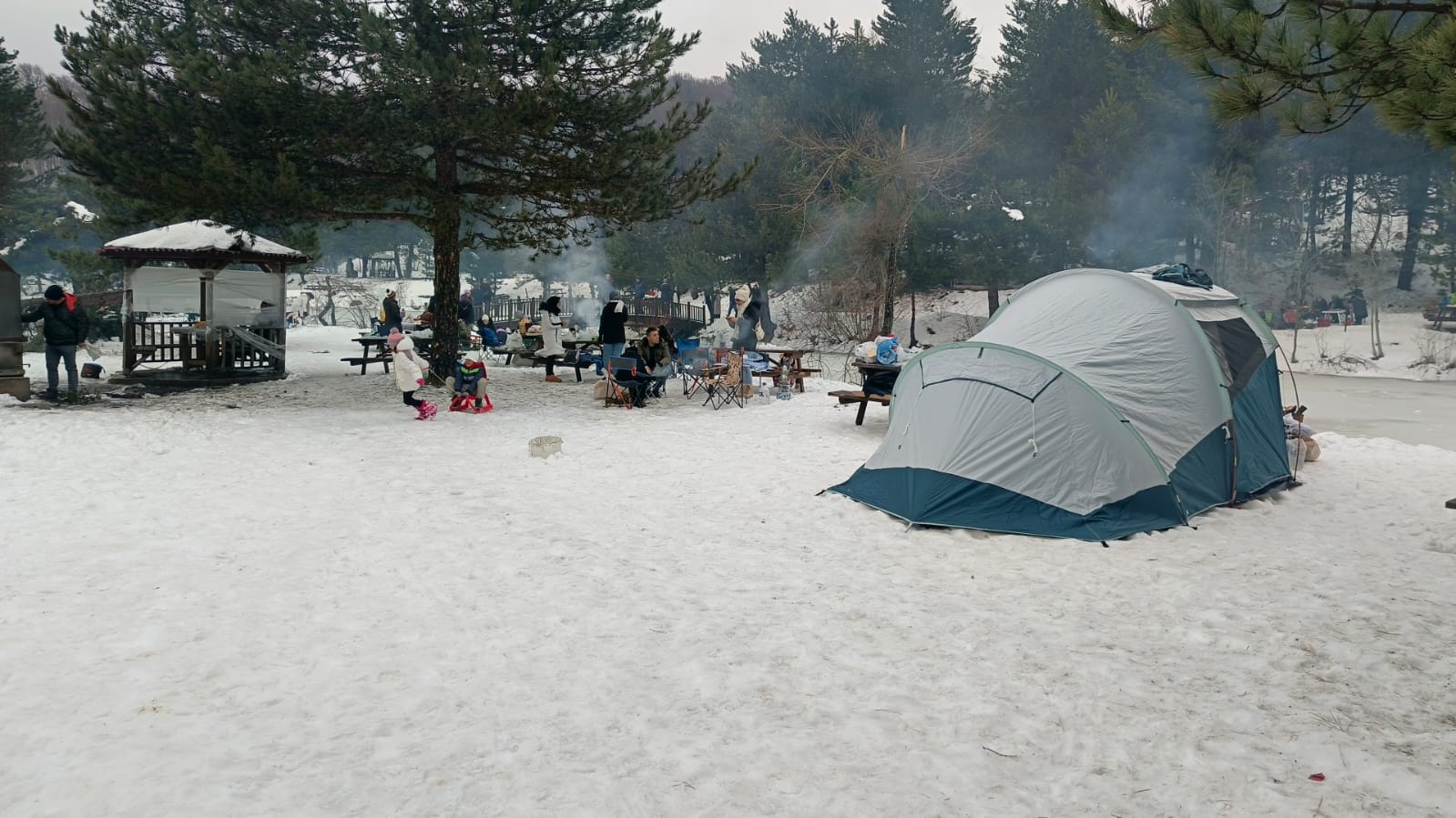 I M G 20260125 W A0031