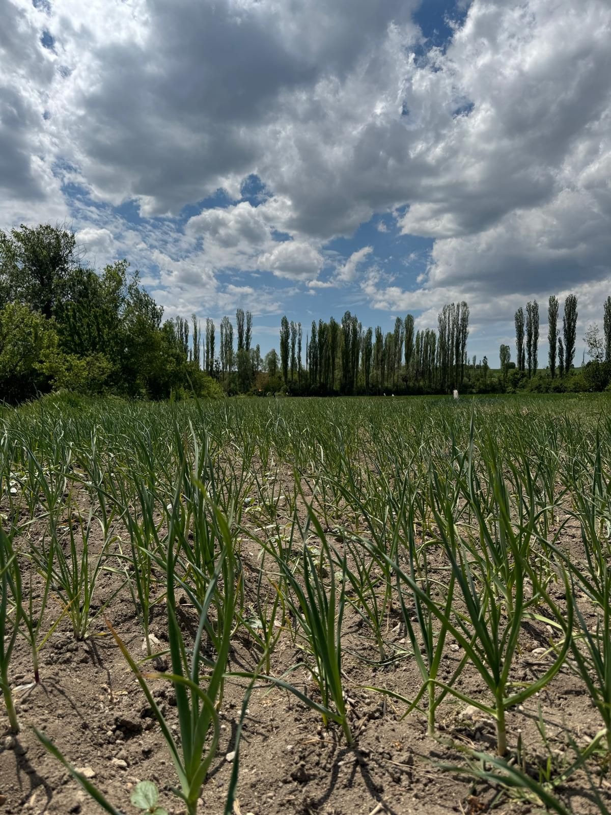 Whatsapp Image 2026 01 16 At 4.25.06 Pm