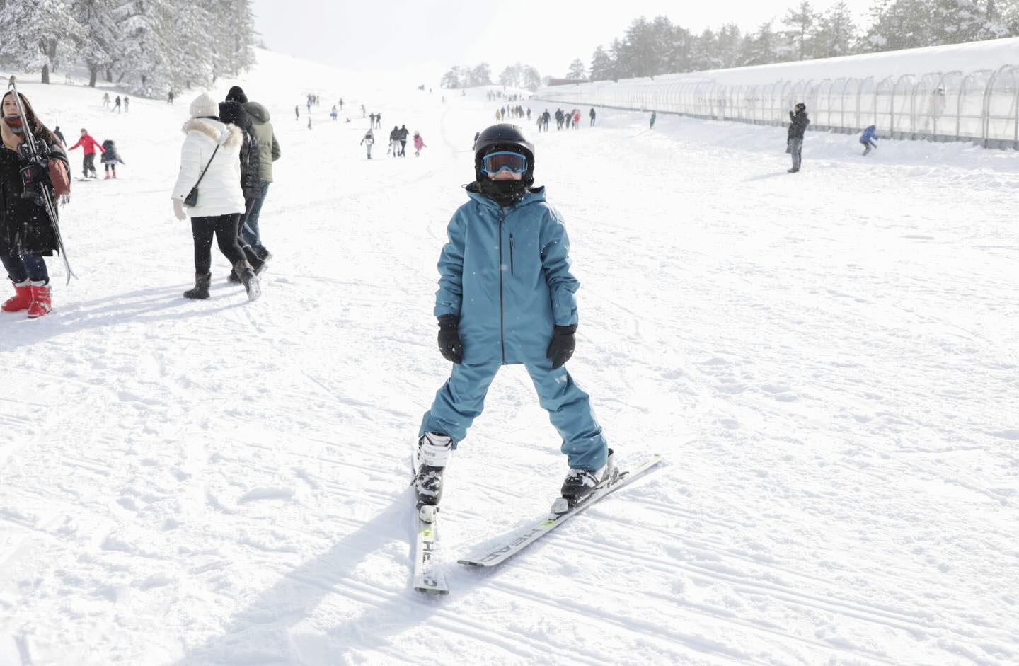 Whatsapp Image 2026 01 20 At 4.26.04 Pm