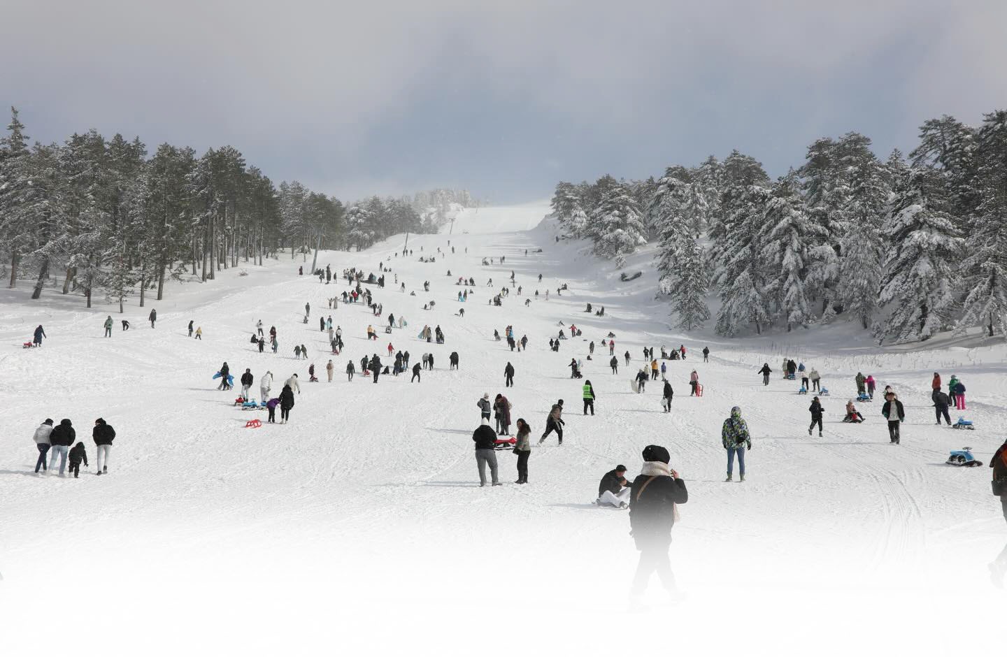 Whatsapp Image 2026 01 20 At 4.26.05 Pm