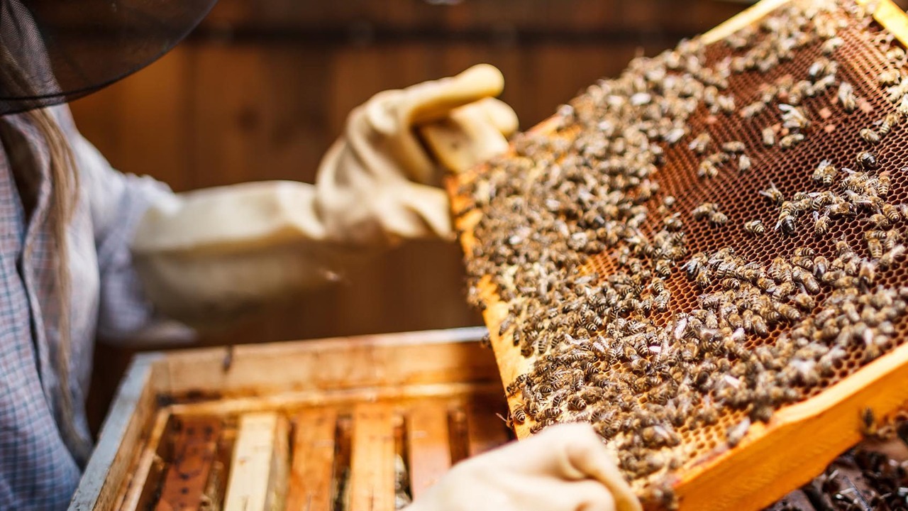 Whatsapp Image 2026 01 27 At 2.53.02 Pm