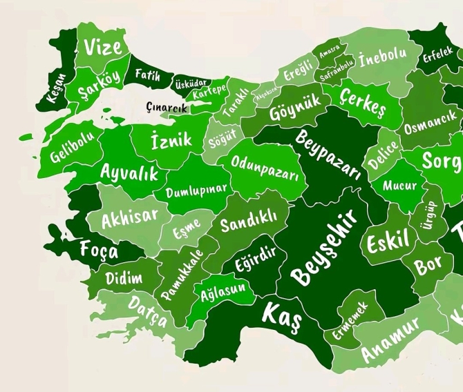 Yapay Zeka Cevapladi Bilecikin En Guel Ilcesi Neresi1