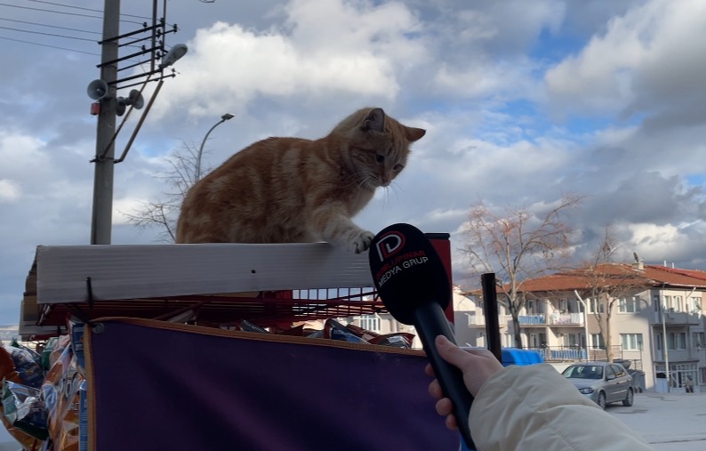 05576876 27Bd 49A1 943B 9A8F21Cfc664