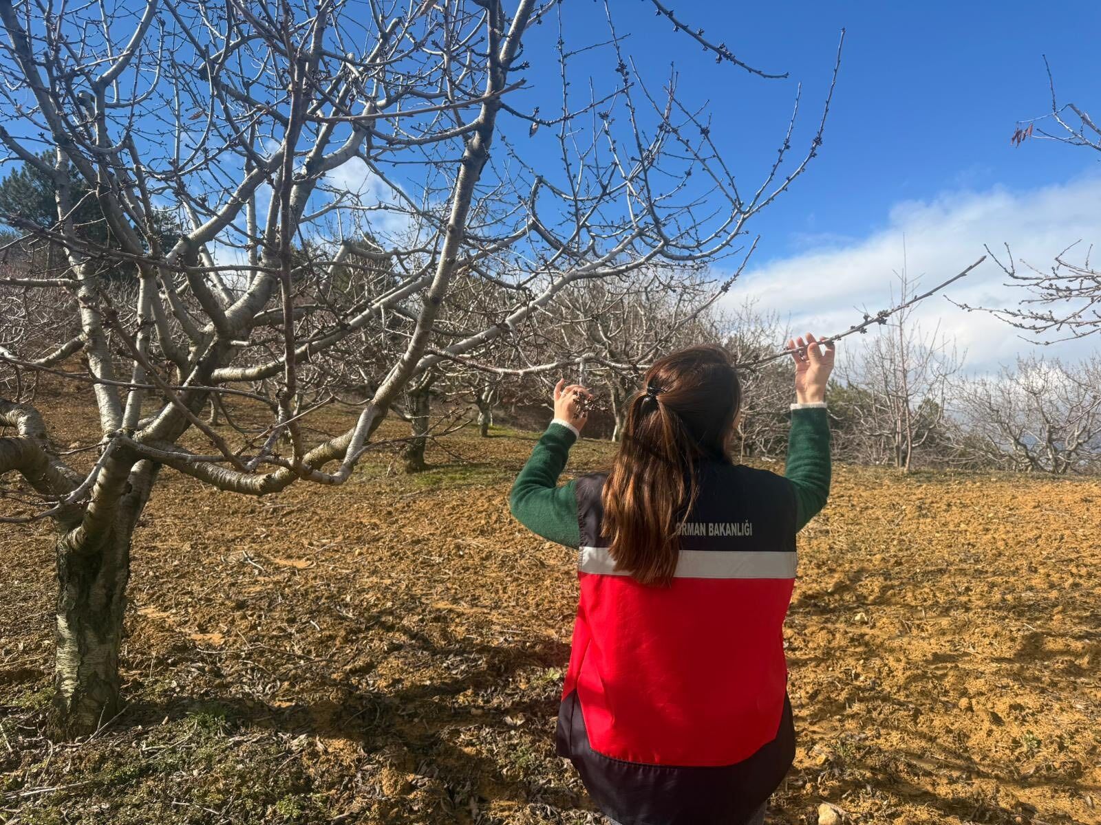 19A36F11 D424 4E5F 9Bc8 0B64B960A29D