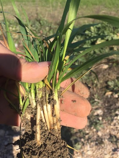 29Bd7C91 58A1 48E2 885F 4F6C54Eeec9C