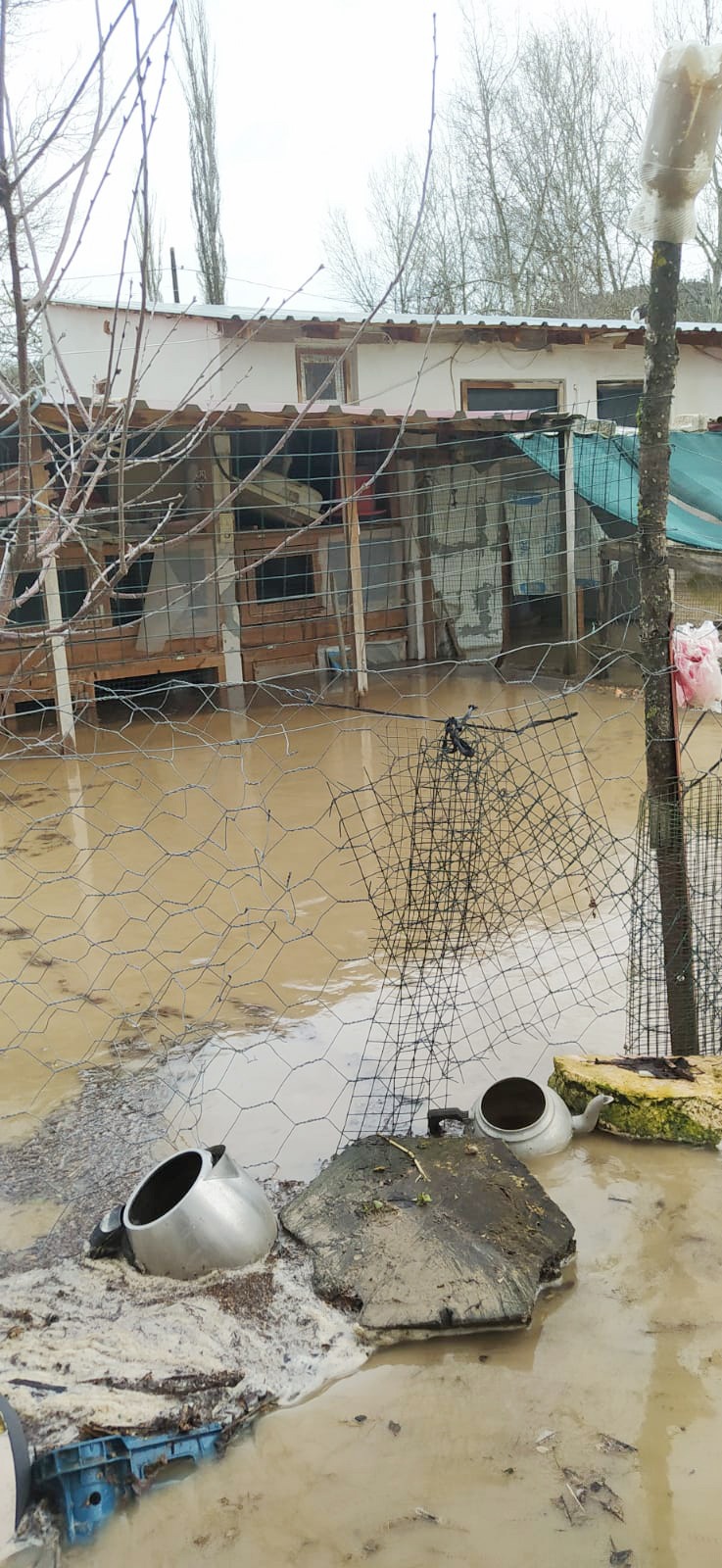 518Abf2E 2B0D 4Ded 8B36 62A0472A25D5