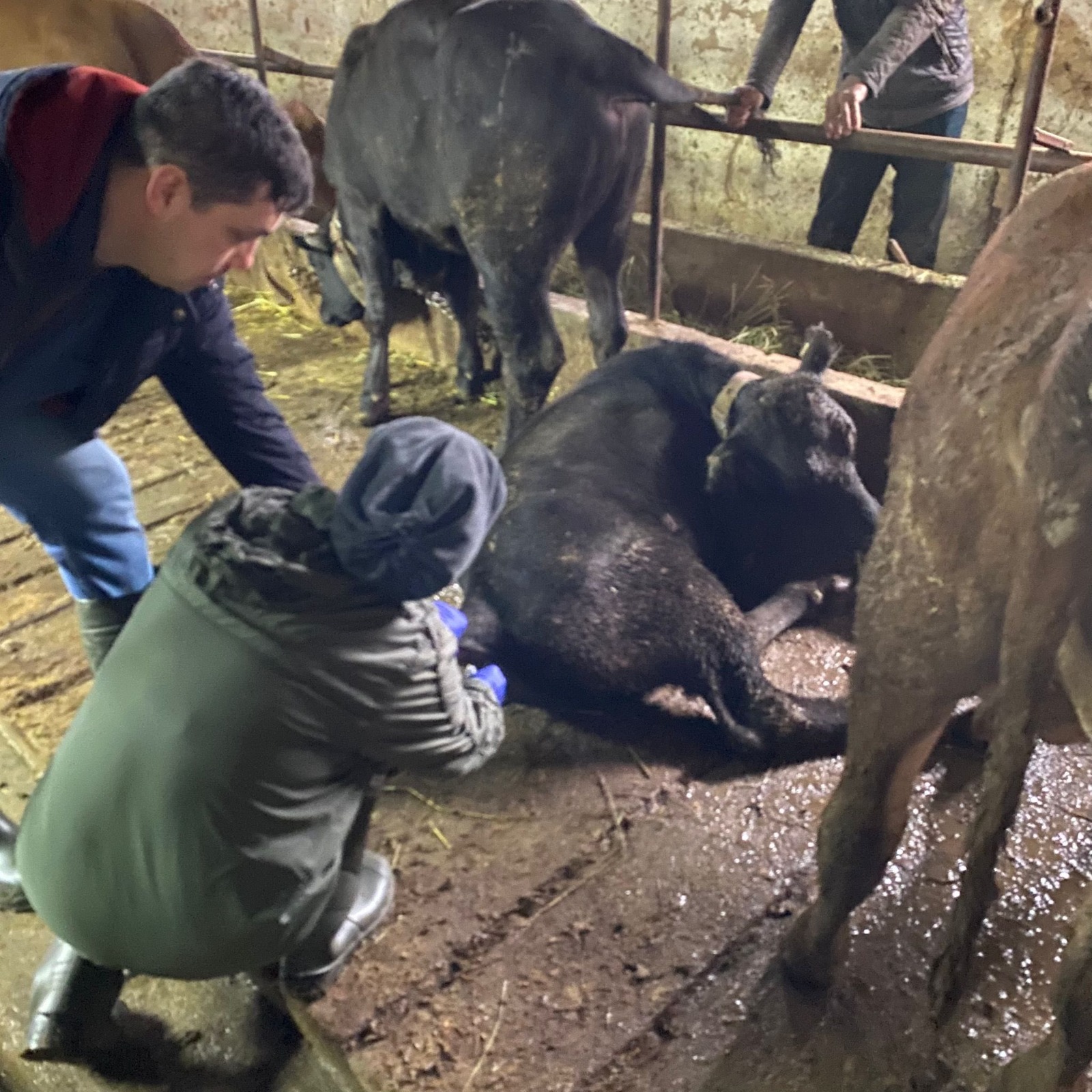 52776620 7938 4E66 84Ca A6D0C04E0D3A