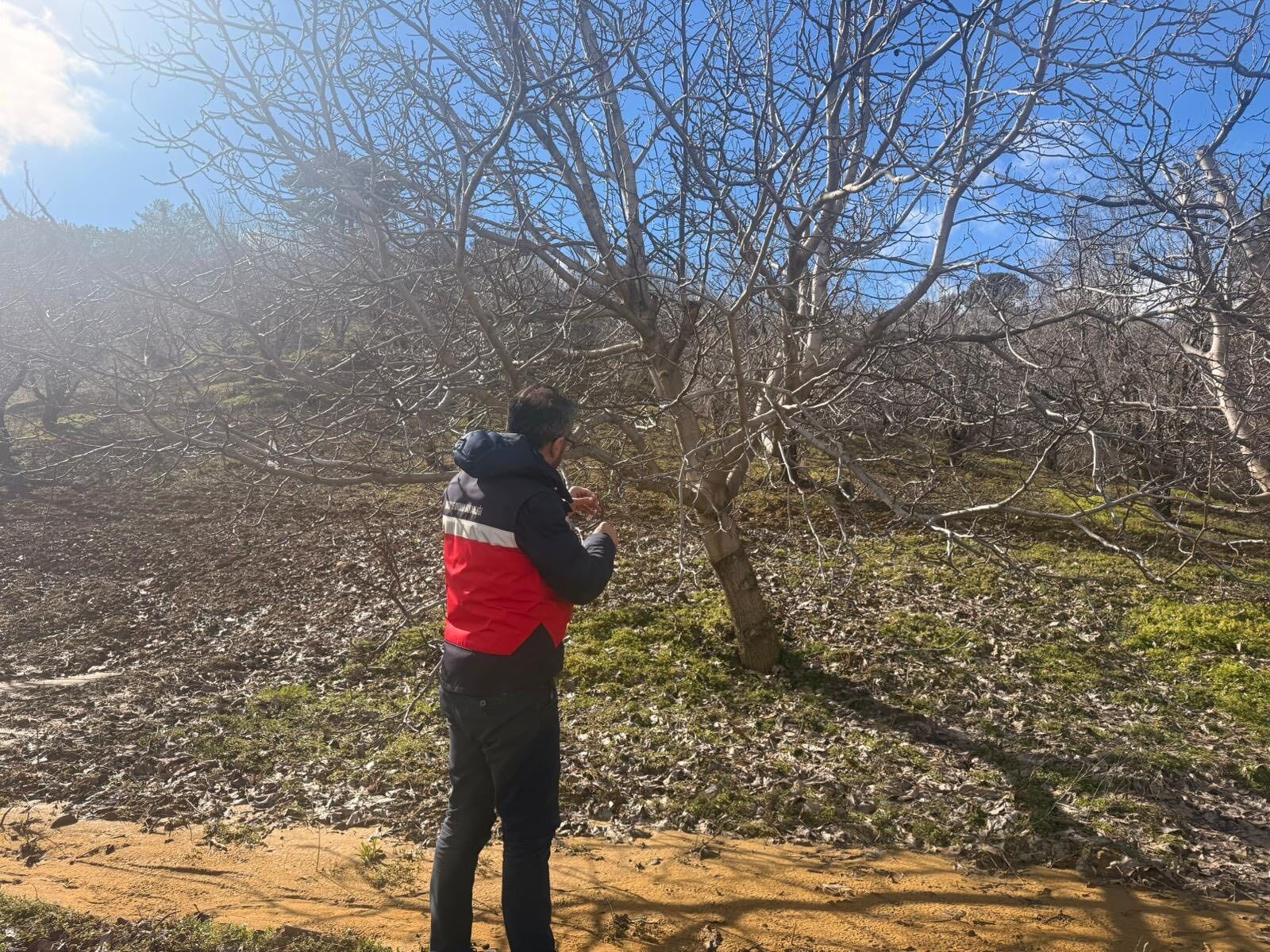 5Bf140Bc 5B3A 495B 85Ac A1C2F6A4Bc45