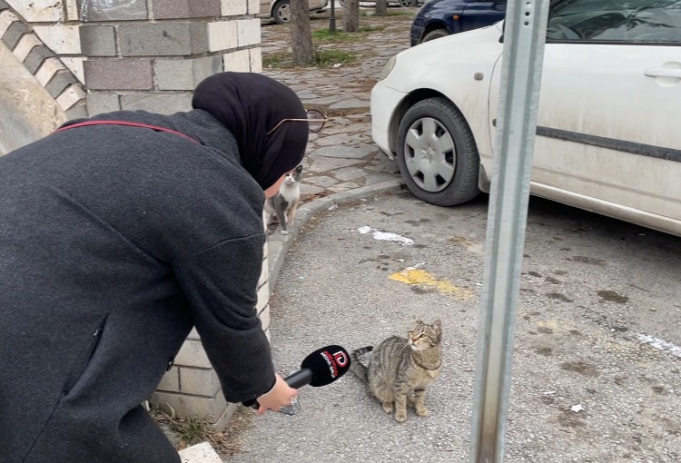 6C8F72Ee 5Cec 4421 9136 6A1E4D69Ecfd