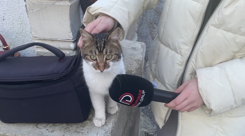 7Bd66D00 5F2E 4D45 B231 1Ec1D0B0E803