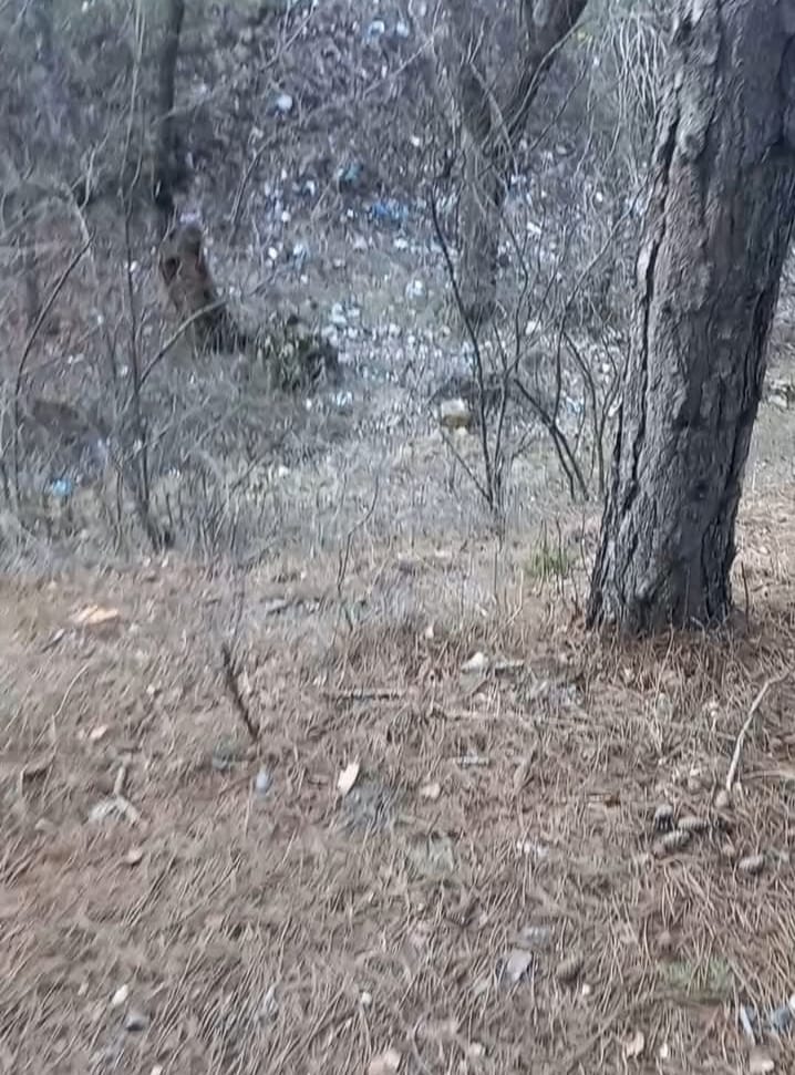 868E5975 81B1 489E 8Fe9 8Cb08B14Ef6C