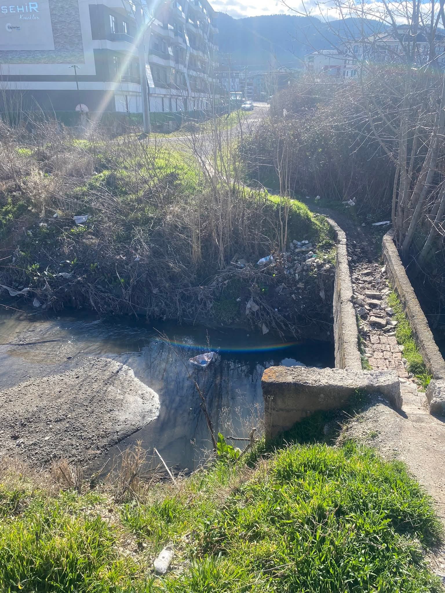 982C5240 2E3A 410C B5Ef 0A15D0D016B8