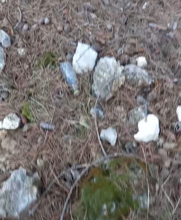 989Fe623 19B8 4C2A Be4A Ab730394Ea1A