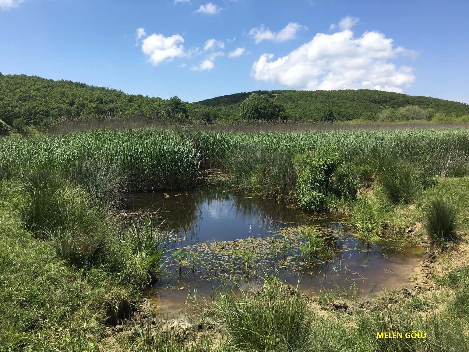 A0F6E139 79A7 4D70 A139 713C28A01Aa9