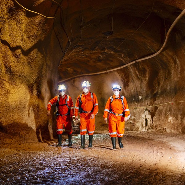 B1747Aff 61Ad 4173 81Bf B20Df342E62D