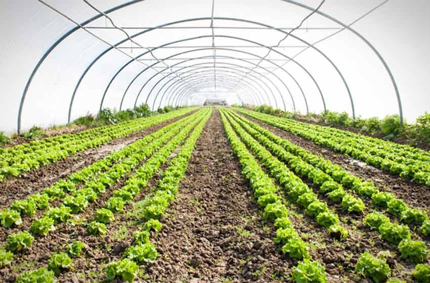 E41194B2 0280 41E2 938D Da191092Aad6