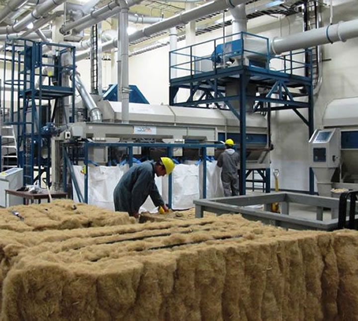 Kenevir Elyafi Uretim A49Bc301