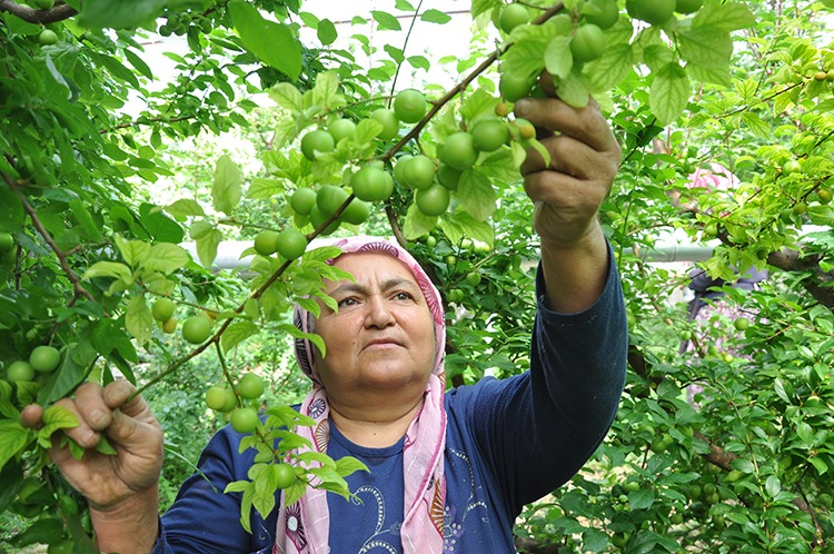 Whatsapp Image 2026 02 06 At 14.44.04