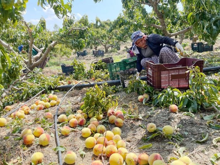 Whatsapp Image 2026 02 06 At 14.44.34