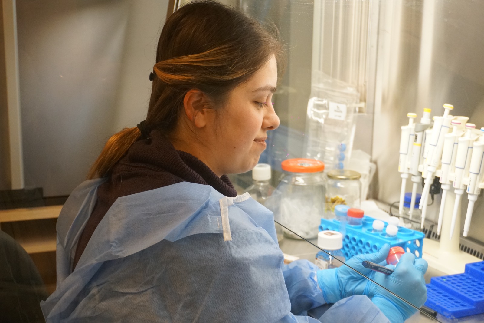 Whatsapp Image 2026 02 07 At 1.29.27 Pm (1)