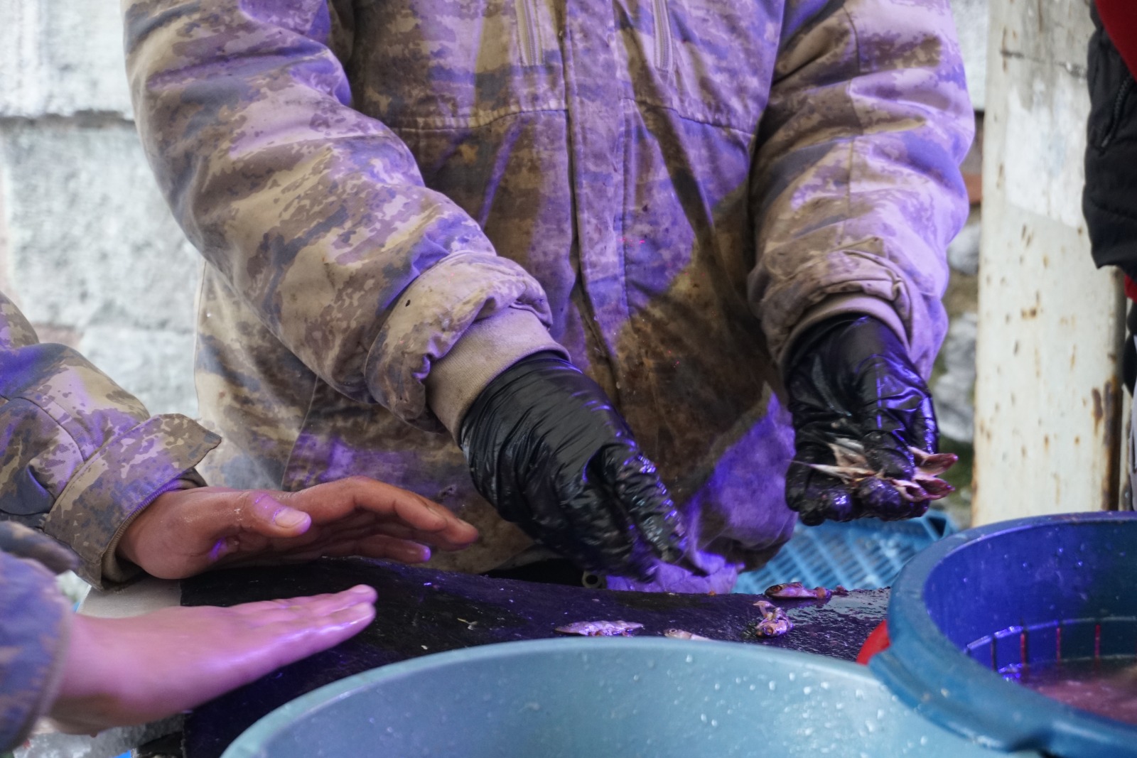 Whatsapp Image 2026 02 11 At 11.17.41