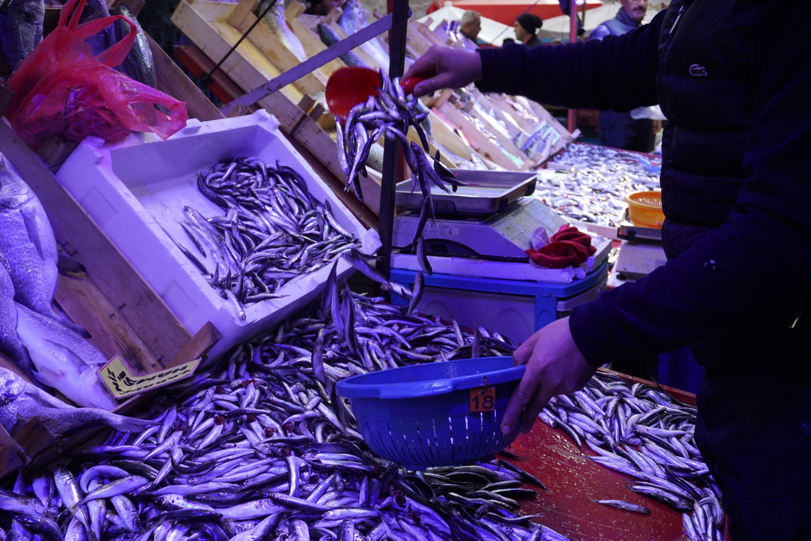 Whatsapp Image 2026 02 11 At 11.17.42 (2)