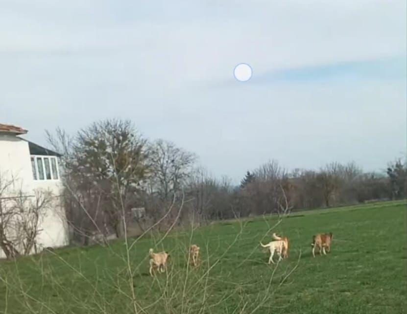 025Aaaa5 4546 447F Ada4 2F675B5A3A6E