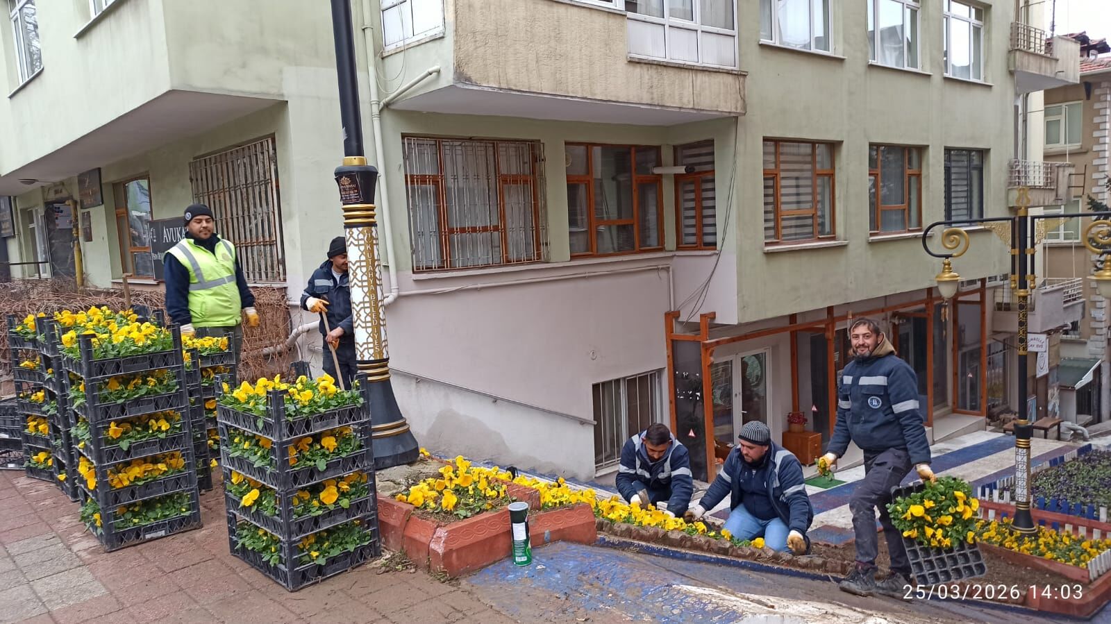 15Cdd95C 9B1C 43Ca 8De8 4A47Bd3A9B2A