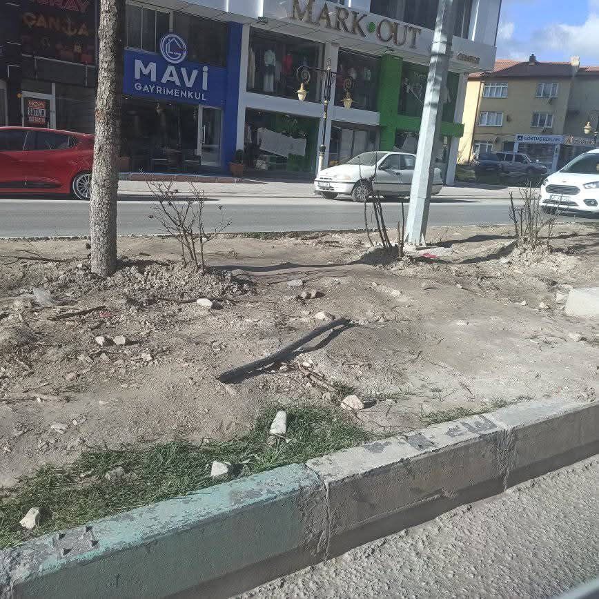 3E5D7493 4D11 420D Aebd E04216A2F7Fa