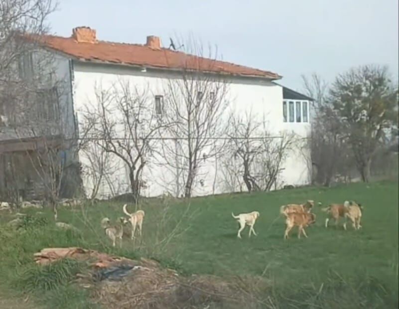 49Cfe4Db F420 4763 9C55 67Ee22D27C92