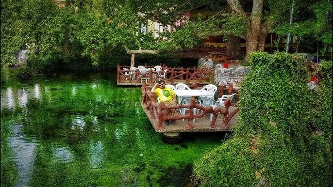 C339D220 D62D 40F7 A3B6 D7Ed2F767877