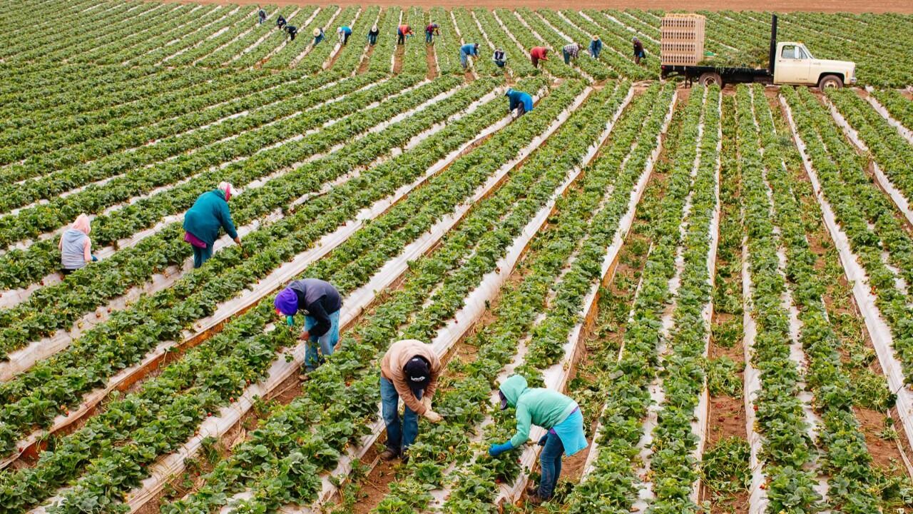 Cb8Bbcec D030 4188 8852 1F9F7B1D1749