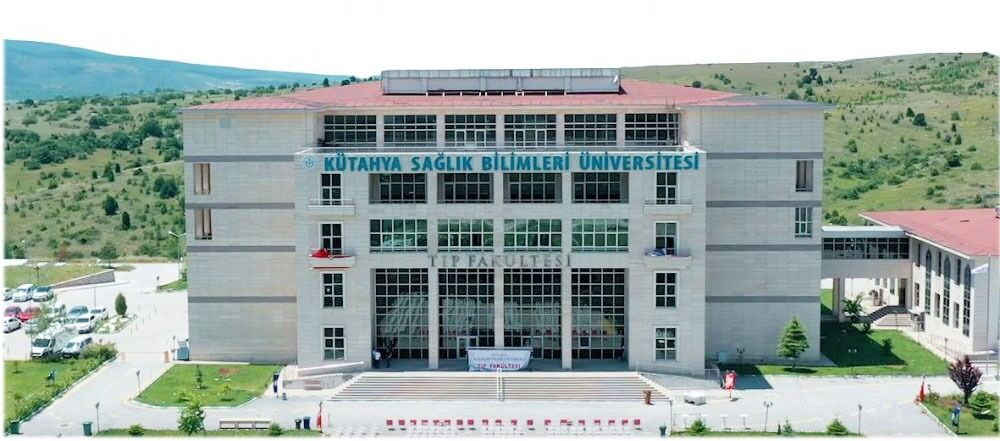 I M G 20250211 W A0104