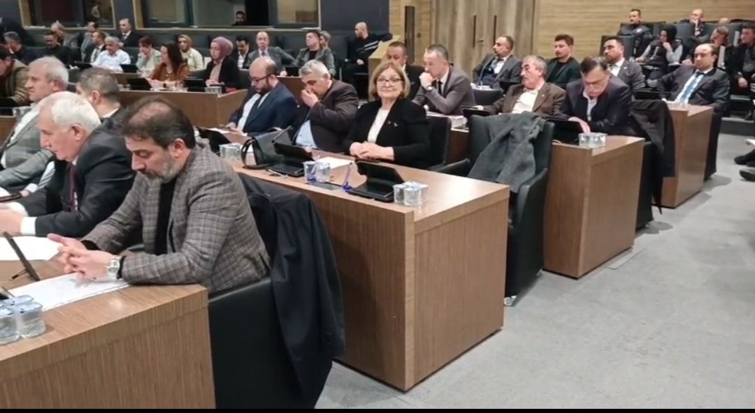 I M G 20260304 211607 253