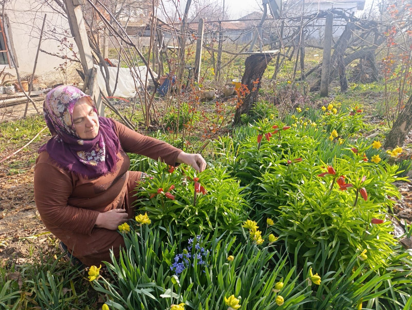 I M G 20260322 W A0028