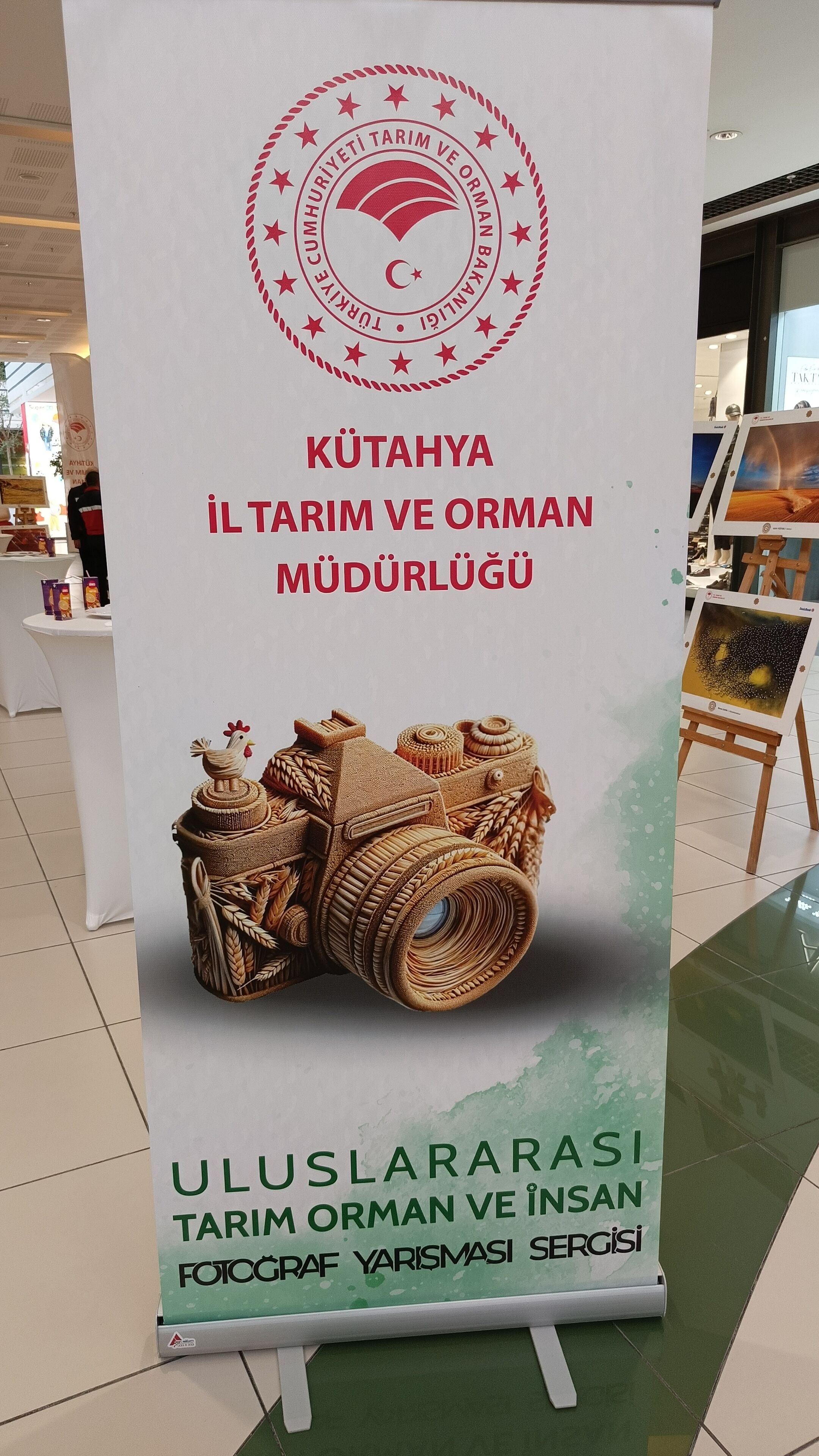 I M G 20260323 144110 700.Jpg