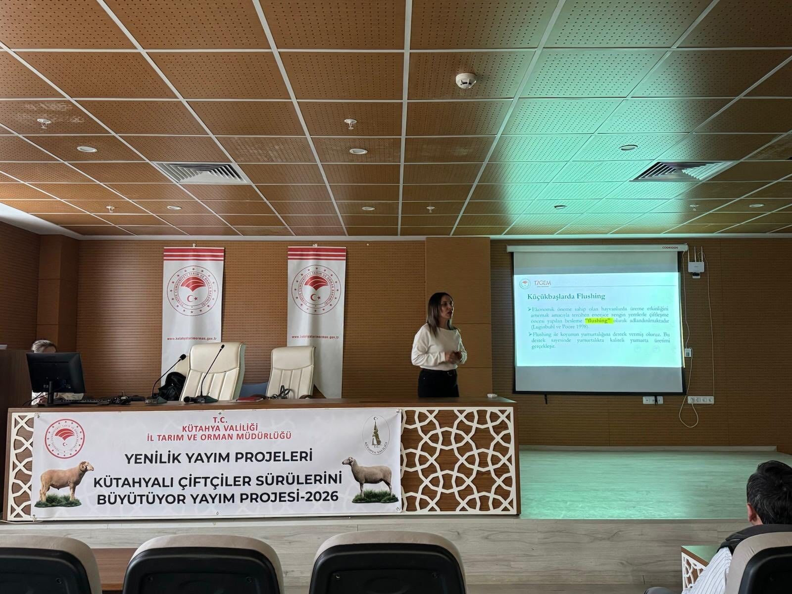 Whatsapp Image 2026 03 05 At 2.46.54 Pm