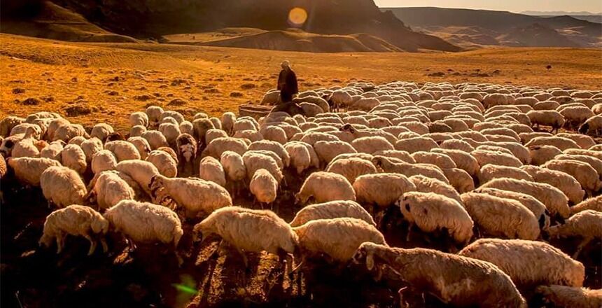 Whatsapp Image 2026 03 05 At 2.47.20 Pm