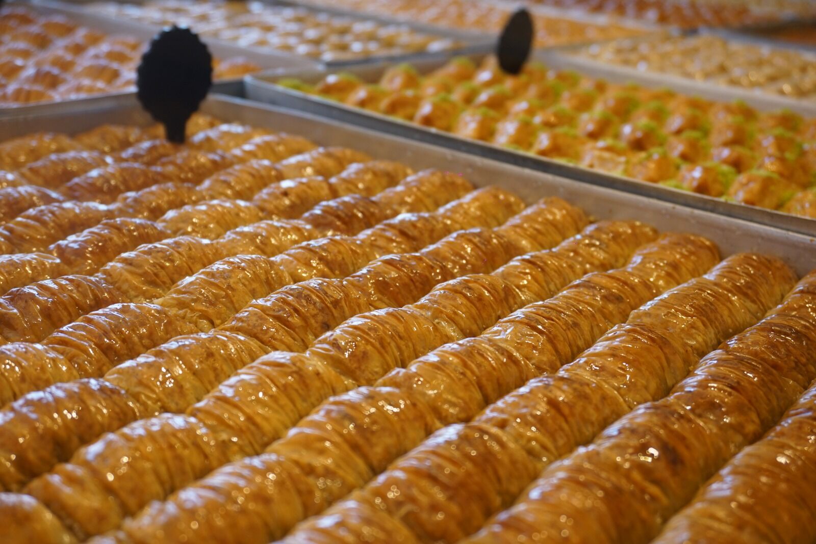 Whatsapp Image 2026 03 18 At 9.56.25 Am (2)