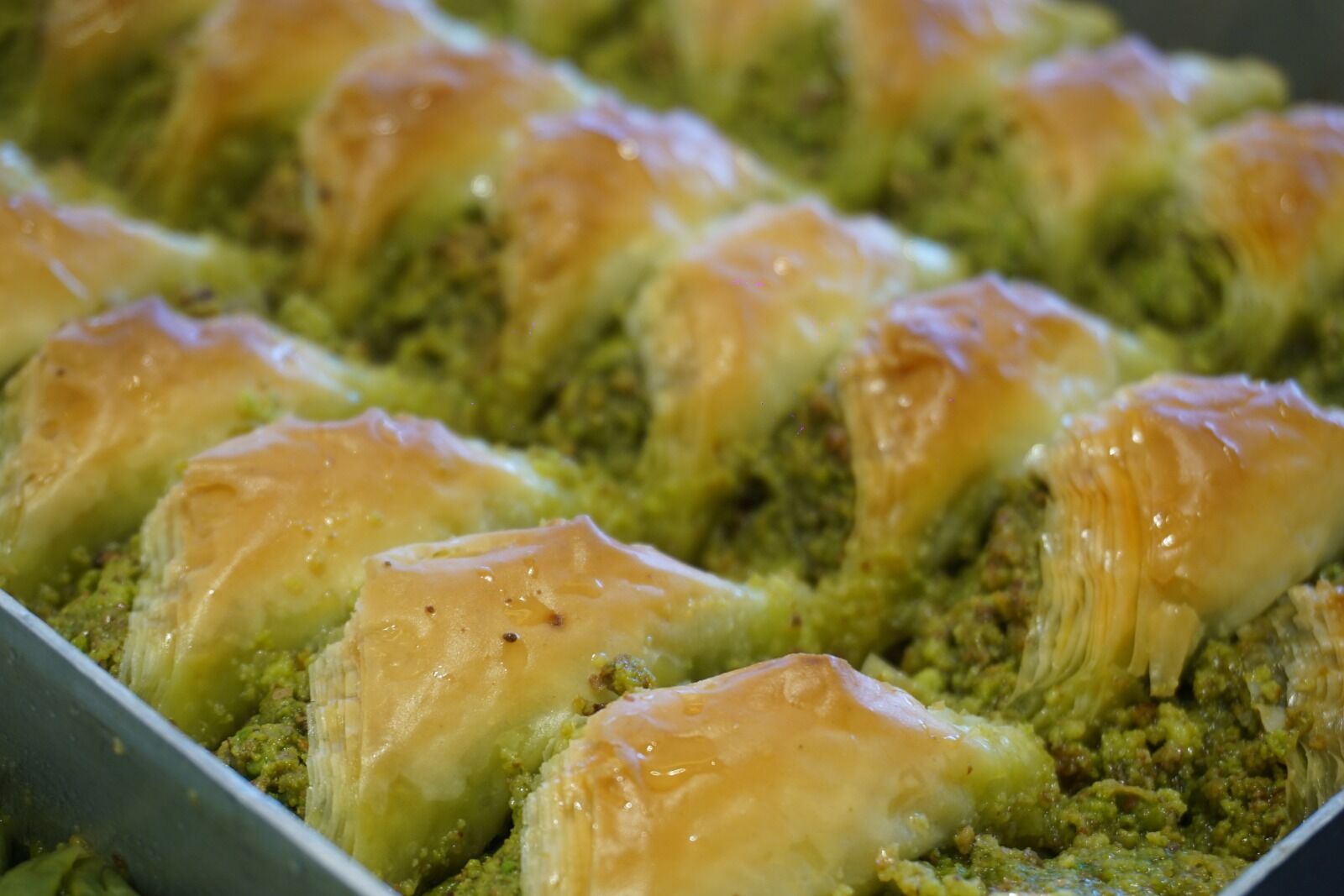 Whatsapp Image 2026 03 18 At 9.56.27 Am (1)