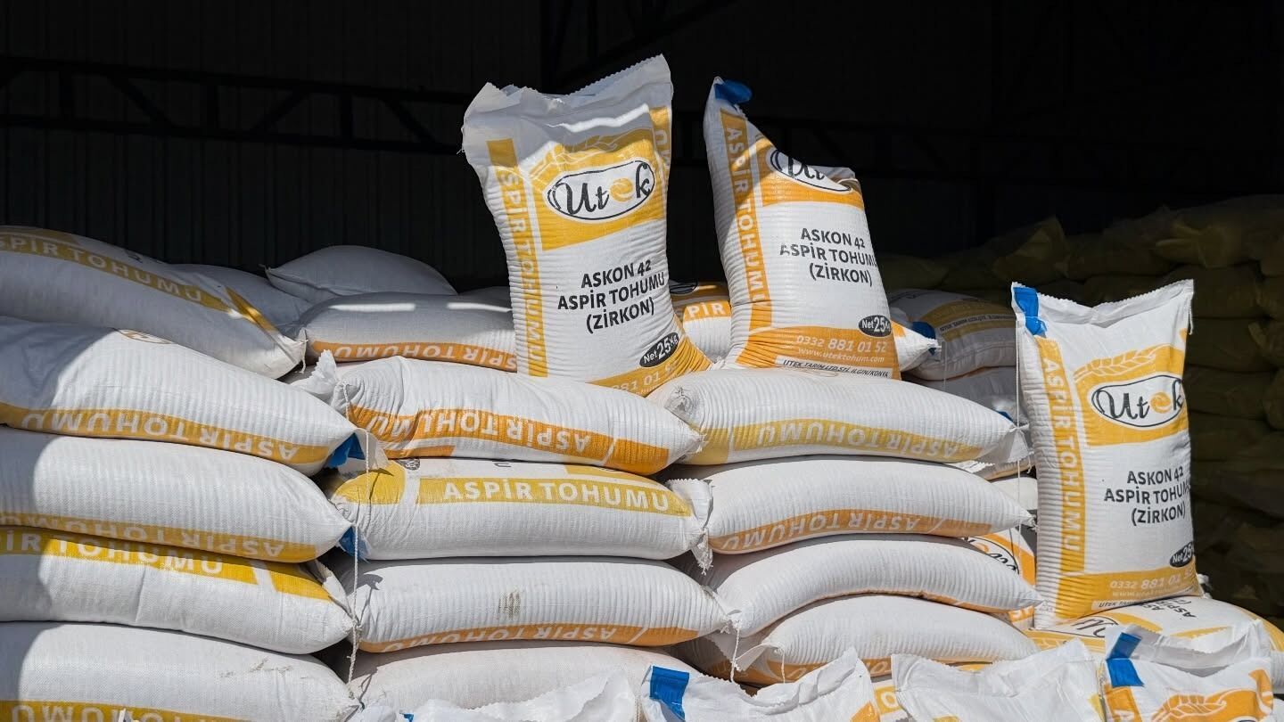 Whatsapp Image 2026 03 27 At 1.25.58 Pm