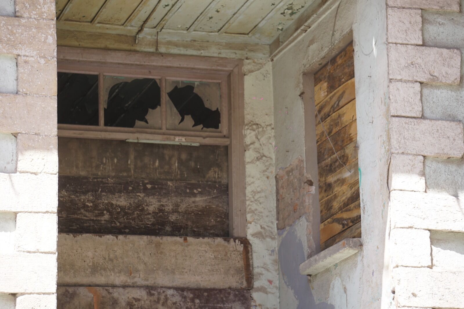 0Dc6E3Ad 5423 4Be1 A493 9Eb7B5F95Dbc