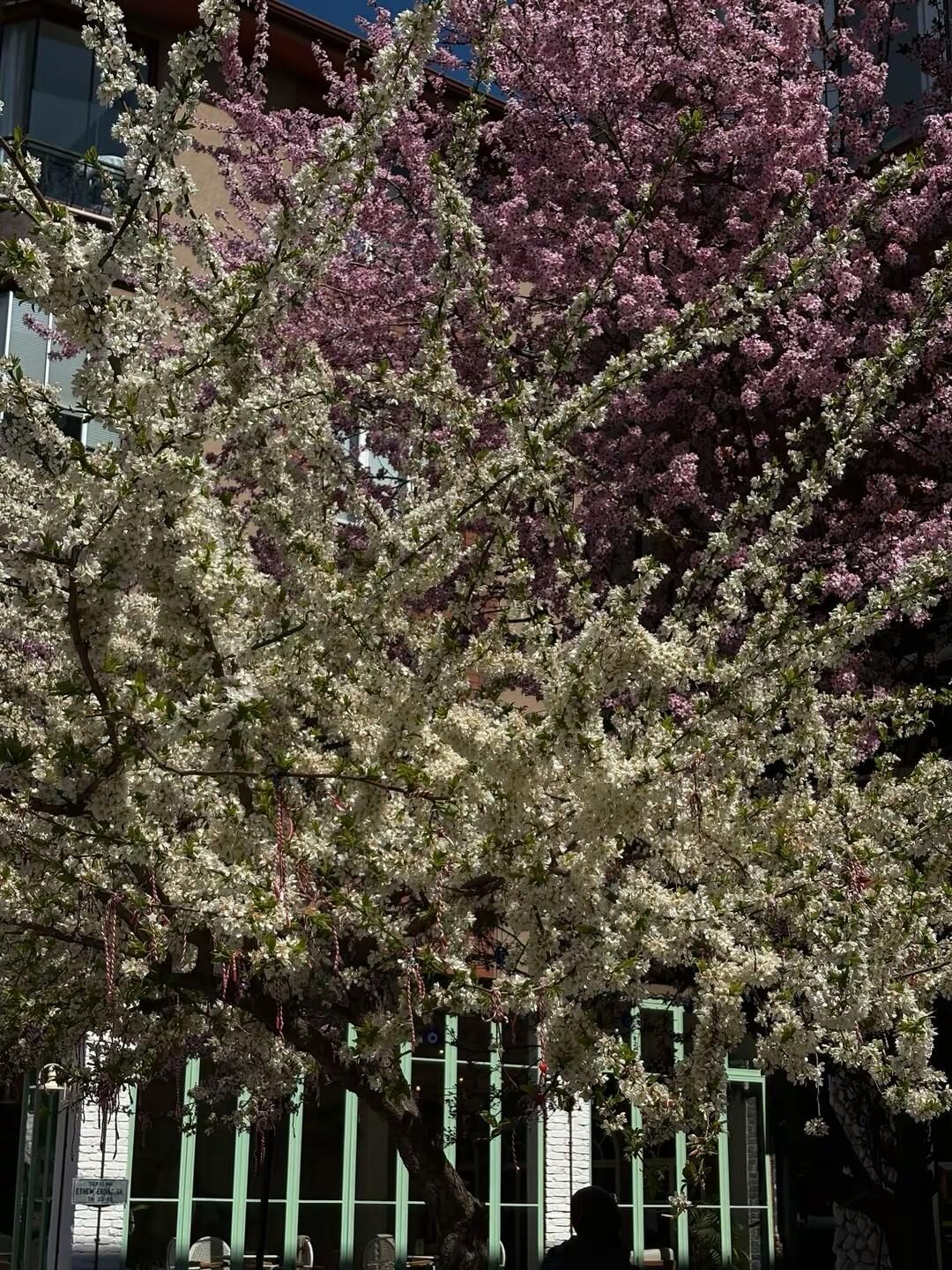 1A9220Ca Cdbd 4807 Ae2F A4388Caf904E