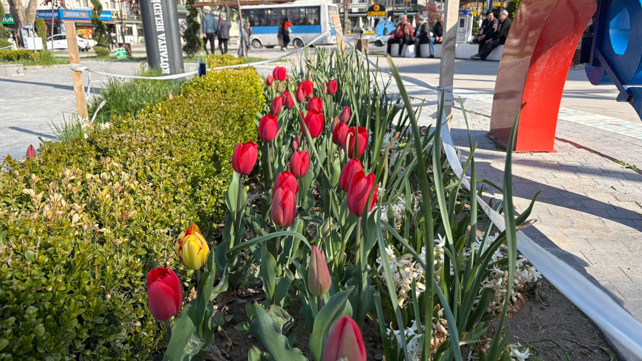 34Bf32E3 455F 441A 9528 D290F7E55832