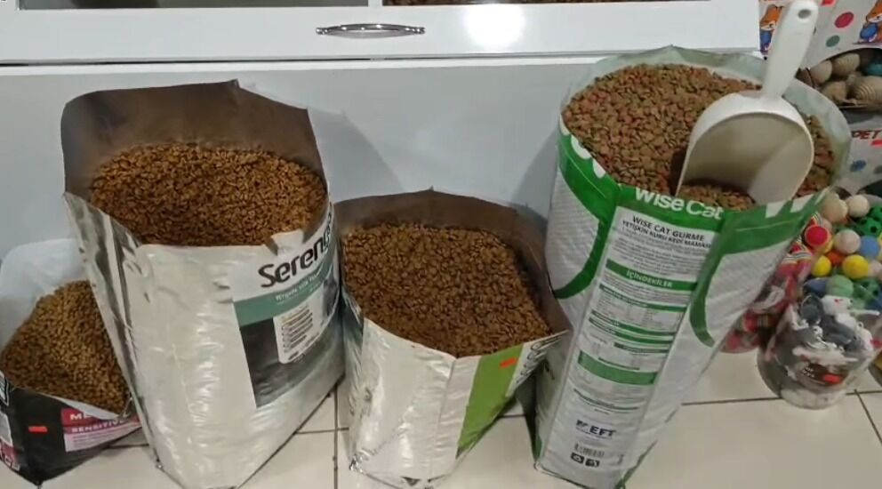 6634De67 Ac37 43C3 8373 F90Cc80A741F