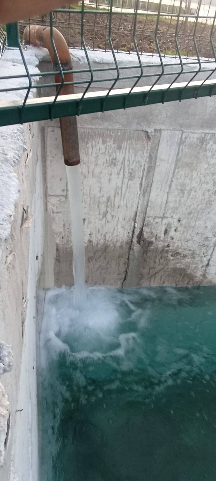 680044208 10236590158027495 9146892211776982163 N