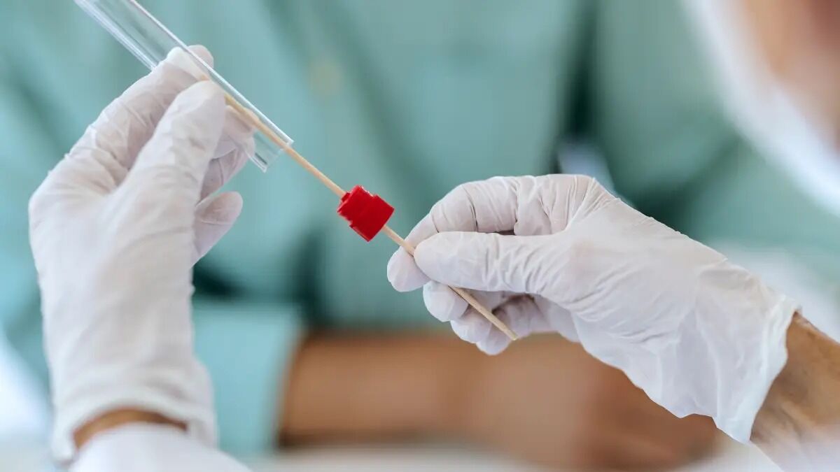 6E51Ae4A 74Ae 4203 8917 D356Cee57Fa4